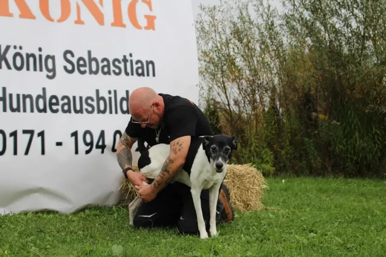 Sebastian König behandelt einen Hund bei der anatomischen Korrektur
