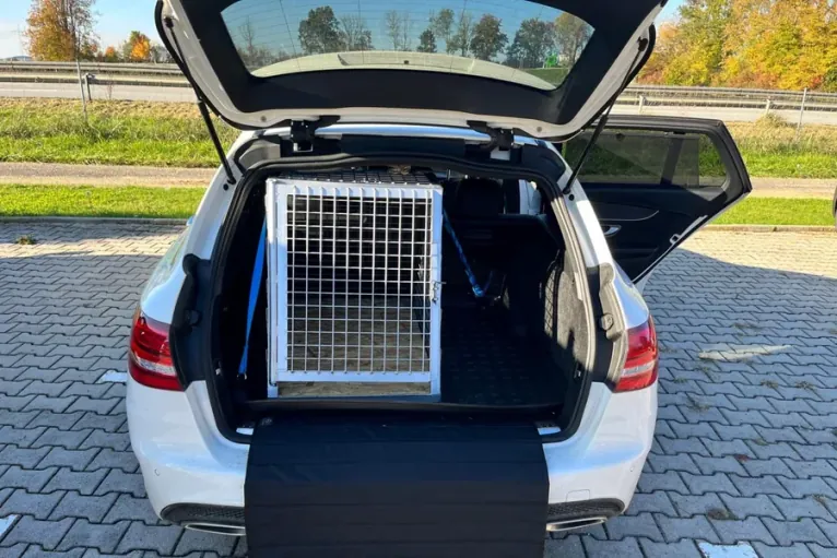 Maßgefertigte Hunde-Transportbox im Kofferraum eines Kombis