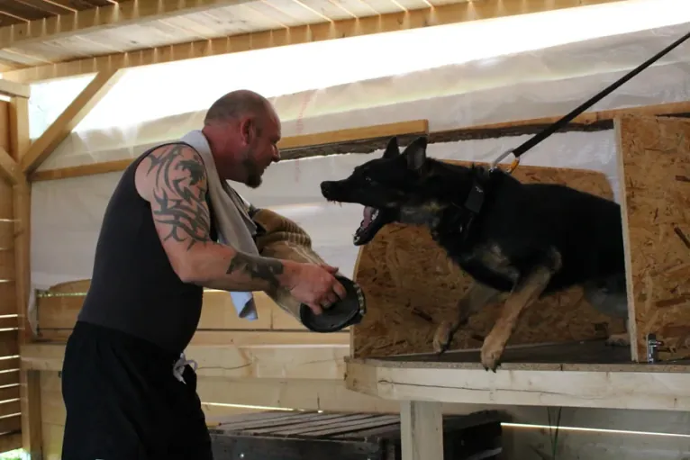 Sebastian König mit einem Schäferhund beim Training in der Halle