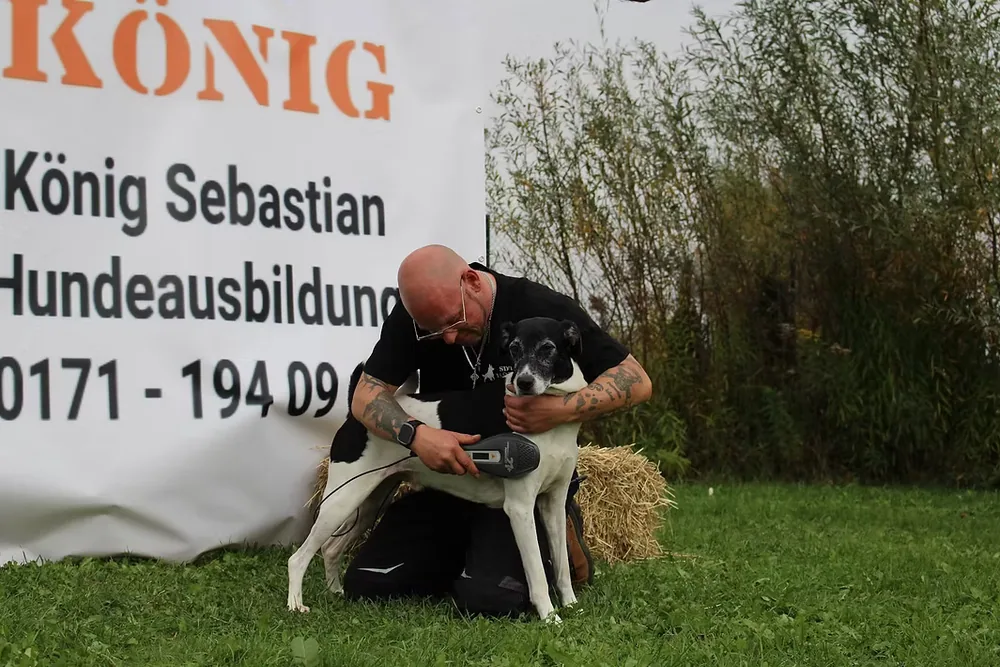 Lasertherapie am Hund