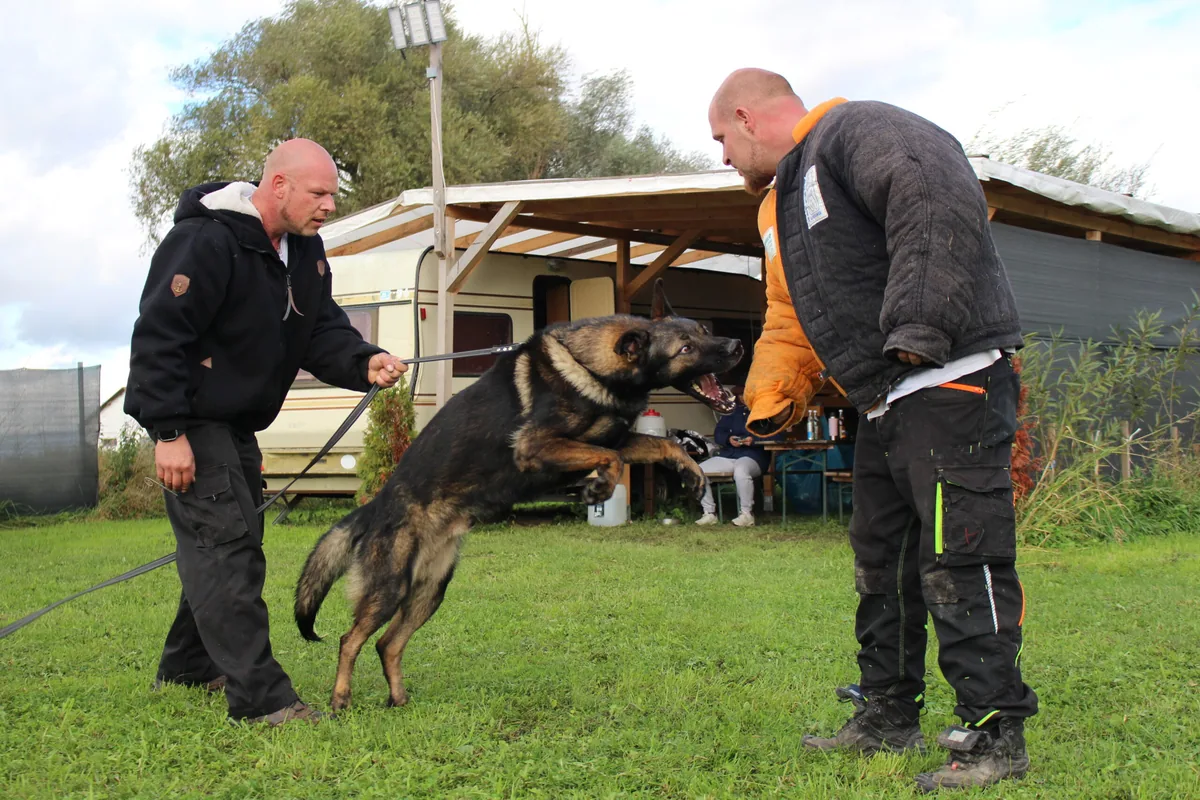 Sebastian König beim Schutzhundetraining
